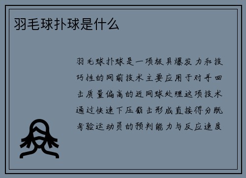 羽毛球扑球是什么